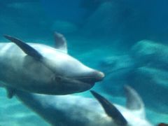 -福州罗源湾海洋世界旅游区