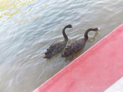 -山西乌金山旅游区