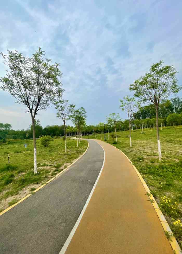 天竺公园-"这个在郊野公园五百米以外的小公园里.有很.