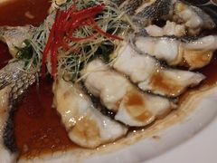 -海派悦庭·海胆烧麦·新融合菜(凯德广场店)