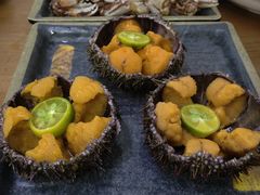 -海胆小馆(东北水饺·春柳店)