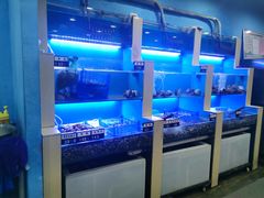 水产区-老虎滩大连海鲜烧烤(建邺云锦路总店)