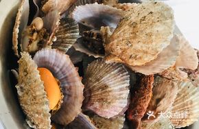 Scallop Sashimi