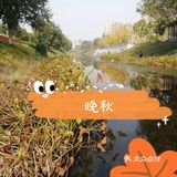 河的东岸新建了一个很大的公园，虽然没有命名