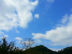 -红山村