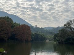 -深圳仙湖植物园