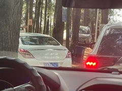 -重庆睡佛山森林公园