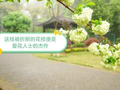 -重庆平顶山公园
