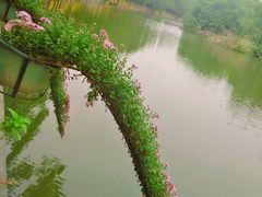 -人民公园(罗湖区)