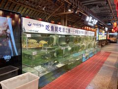 水产区-胖姐渔村(中源大道店)