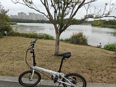 -昆山城市生态森林公园