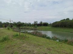 -两河城市森林公园