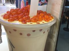 -KOI Thé(正佳广场店)