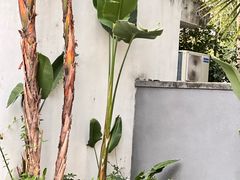 -候鸟水榕庄度假酒店