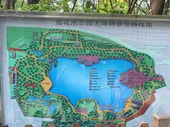 -莲花池公园