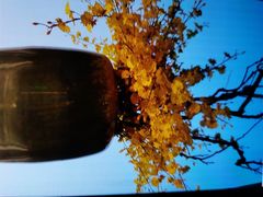 -星漾里•SPA•足道•按摩•养生(吕厝店)