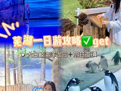 -芜湖新华联大白鲸海洋公园