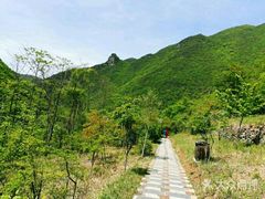 -郧西五龙河风景区