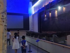 -信阳博物馆