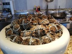 -嘉定凯悦·咖啡厅