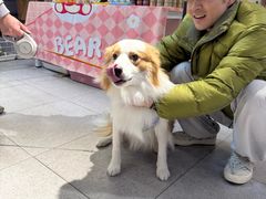 -FAELING PETS美天灵宠物(富力广场店)