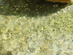 -碧水湾温泉