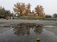 -北京石刻艺术博物馆(五塔寺)