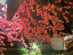 -城墙拐拐火锅(三峡广场黑金冠店)