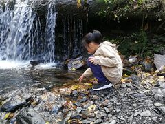 -凤凰山国家森林公园