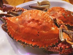 梭子蟹-天天渔港海鲜酒家(石浦玉泉路店)
