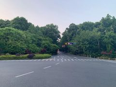 -旅马餐厅(茅家埠店)