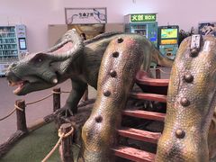 -陕西自然博物馆