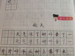 -赵汝飞练字硬笔书法(航头校区)