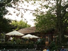 -Trung Nguyen Café Legend