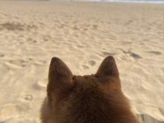 -东海半边山旅游度假区