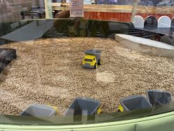 点击看大图 -超级奈尔宝SUPER NEOBIO(杭州星光店)