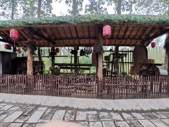 -合肥滨湖国家森林公园