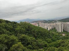 -福道