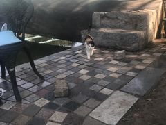 -酷鱼垂钓CLUB(朝阳区博大路店 )