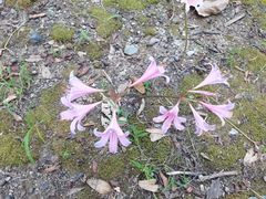 -白塘生态植物园