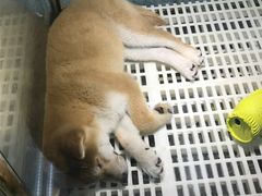 -乐宠宠物店(世纪金源店)