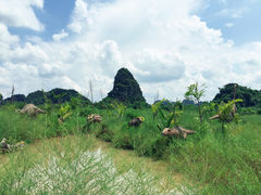 -龙谷湾旅游休闲度假区