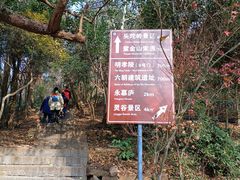 -紫金山山顶公园