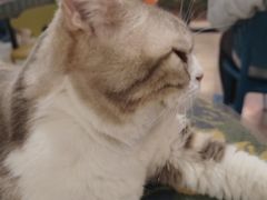 -平行世界·猫咖(首经贸店)