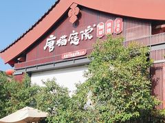 -唐猫庭院·千年陕菜(大唐不夜城店)