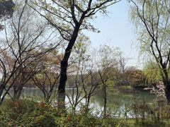 -梁鸿国家湿地公园