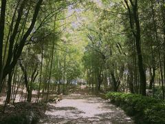 -兰亭风景区