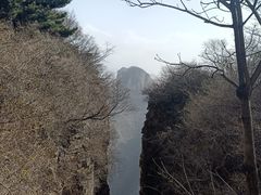 -王莽岭风景区