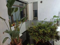 -不止轰趴独栋别墅户外烧烤(颐西庄园店)