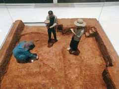 -盘龙城国家考古遗址公园